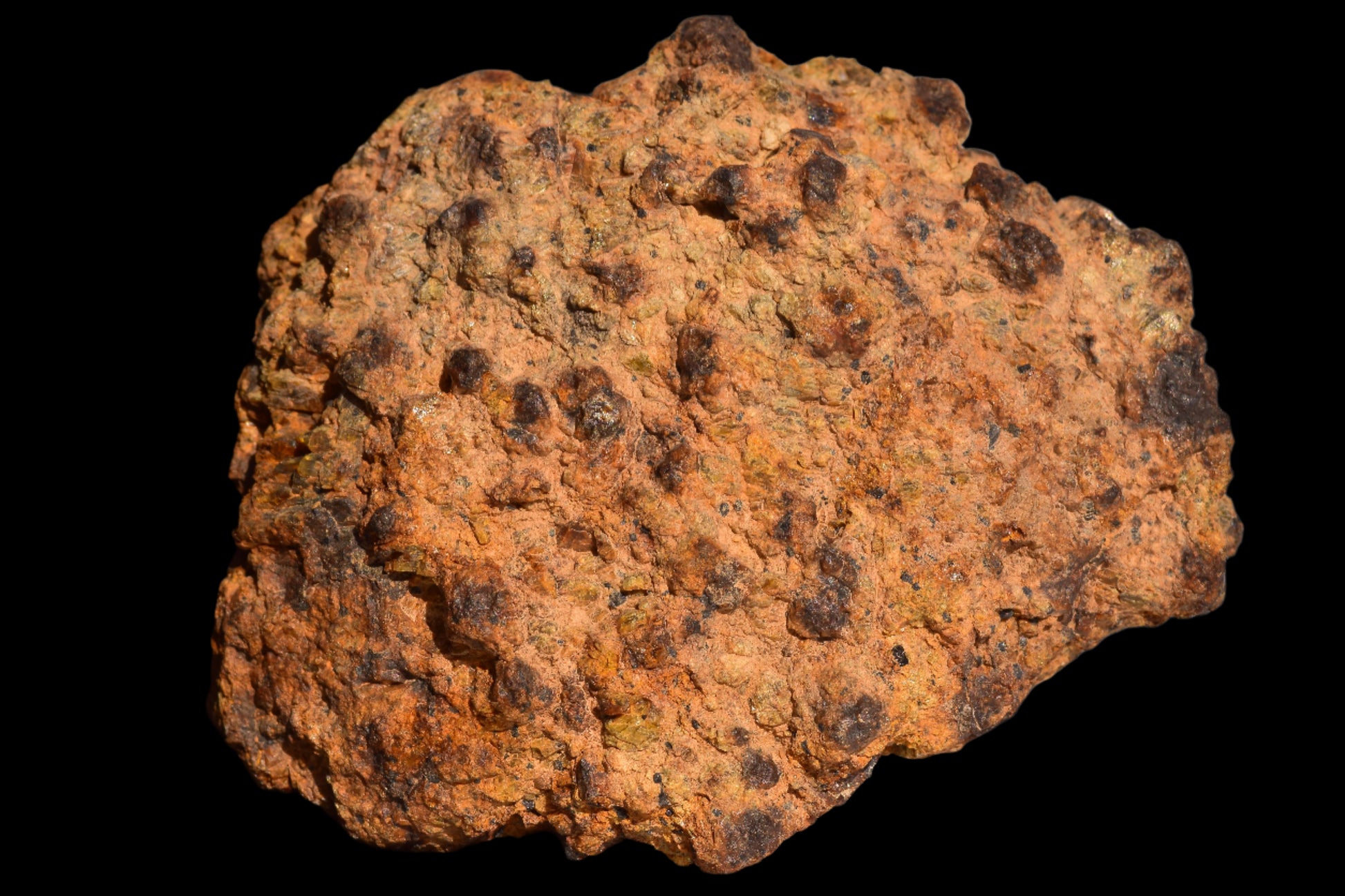 Meteorite for Sale : Diogenite NWA 13692