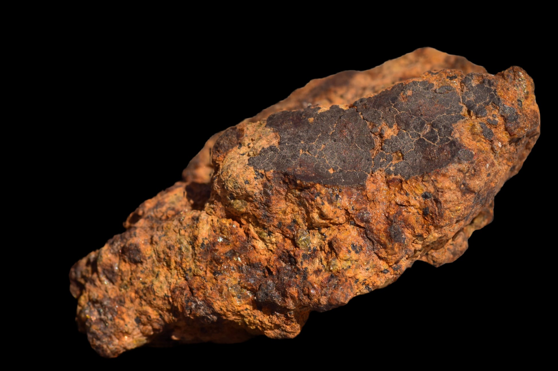 Meteorite for Sale : Diogenite NWA 13692