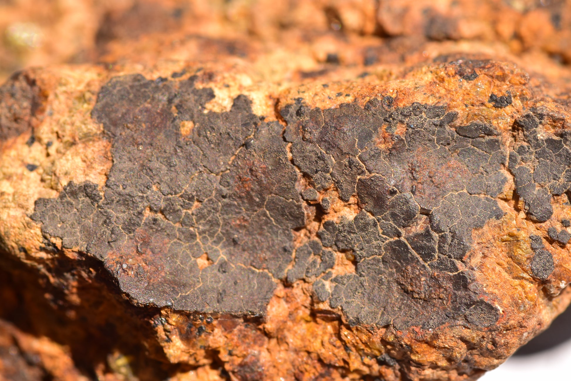 Meteorite for Sale : Diogenite NWA 13692