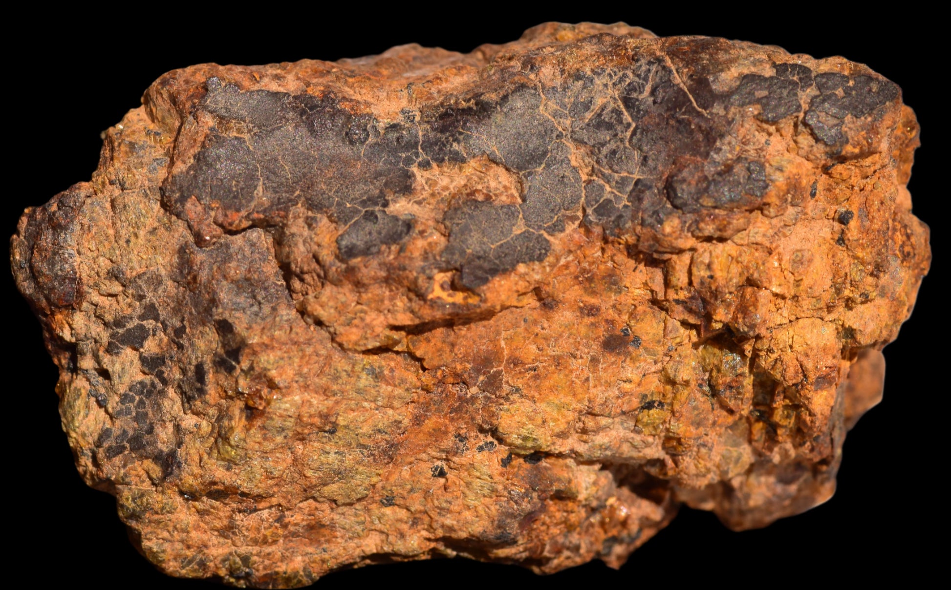 Meteorite for Sale : Diogenite NWA 13692