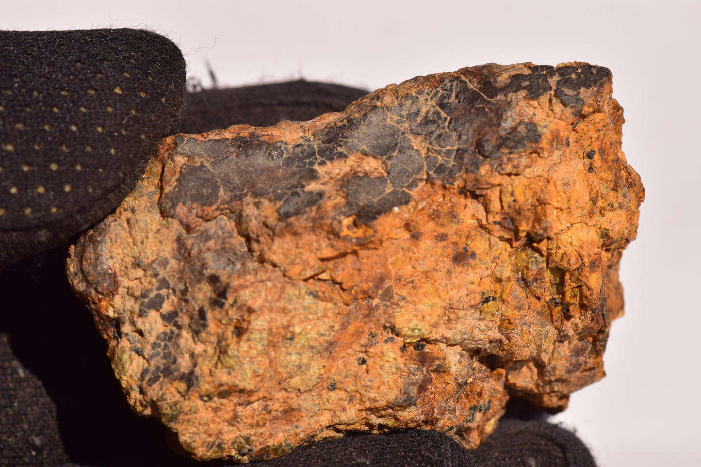 Diogenite Meteorite NWA 13692 Fragment 155 grams