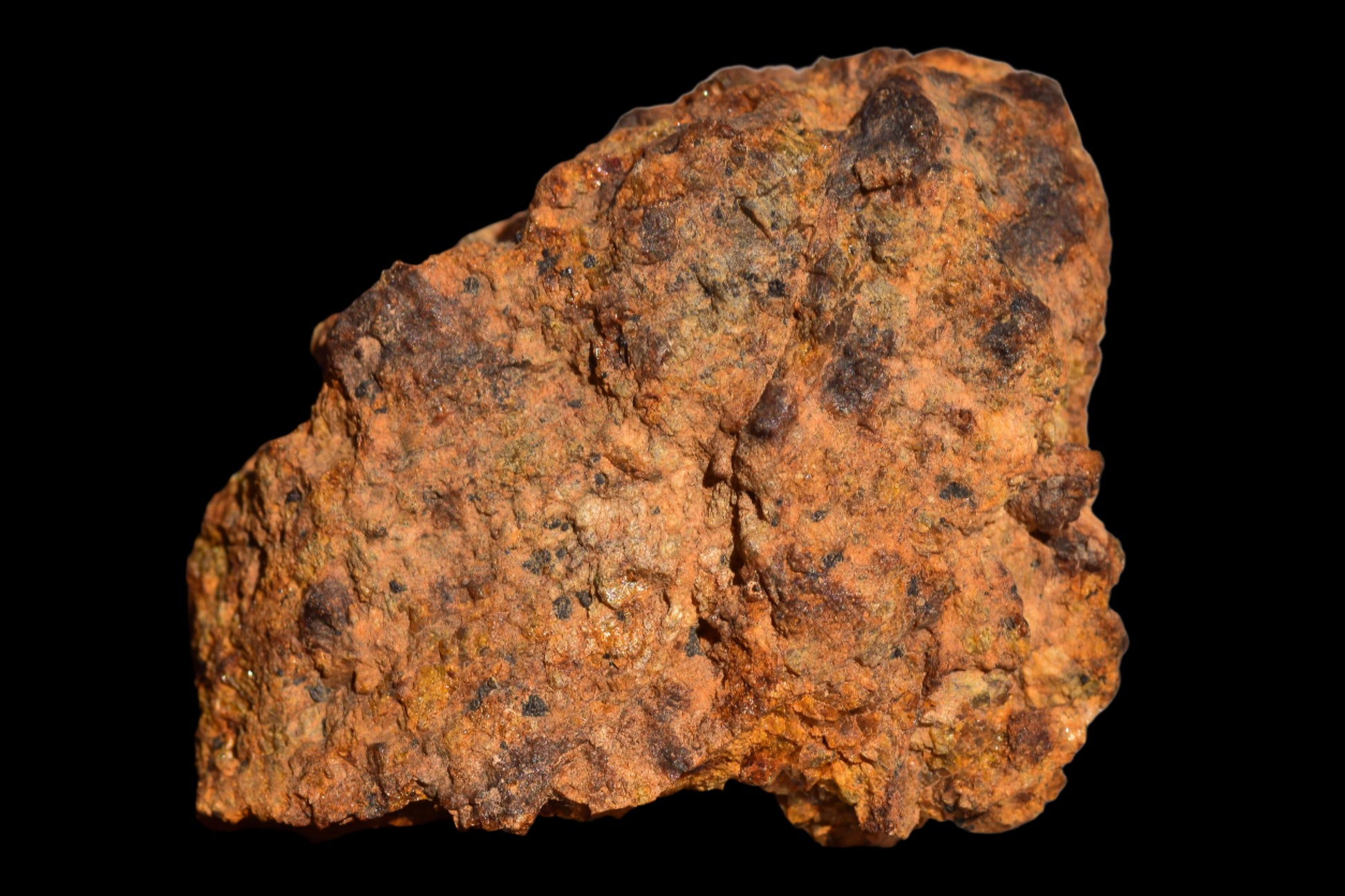 Meteorite for Sale : Diogenite NWA 13692