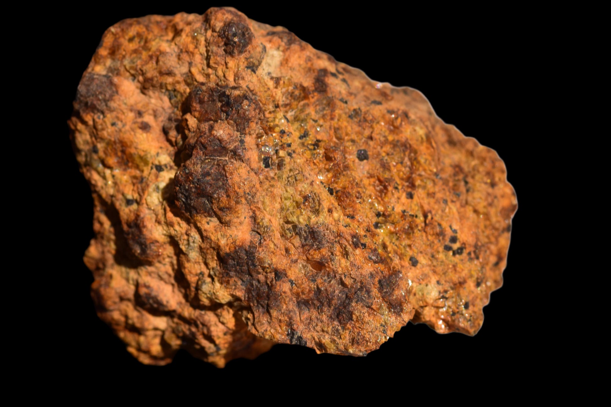 Meteorite for Sale : Diogenite NWA 13692