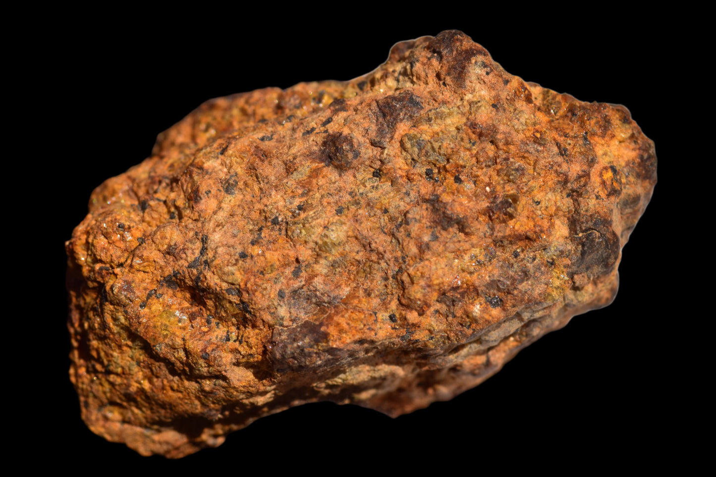 Meteorite for Sale : Diogenite NWA 13692