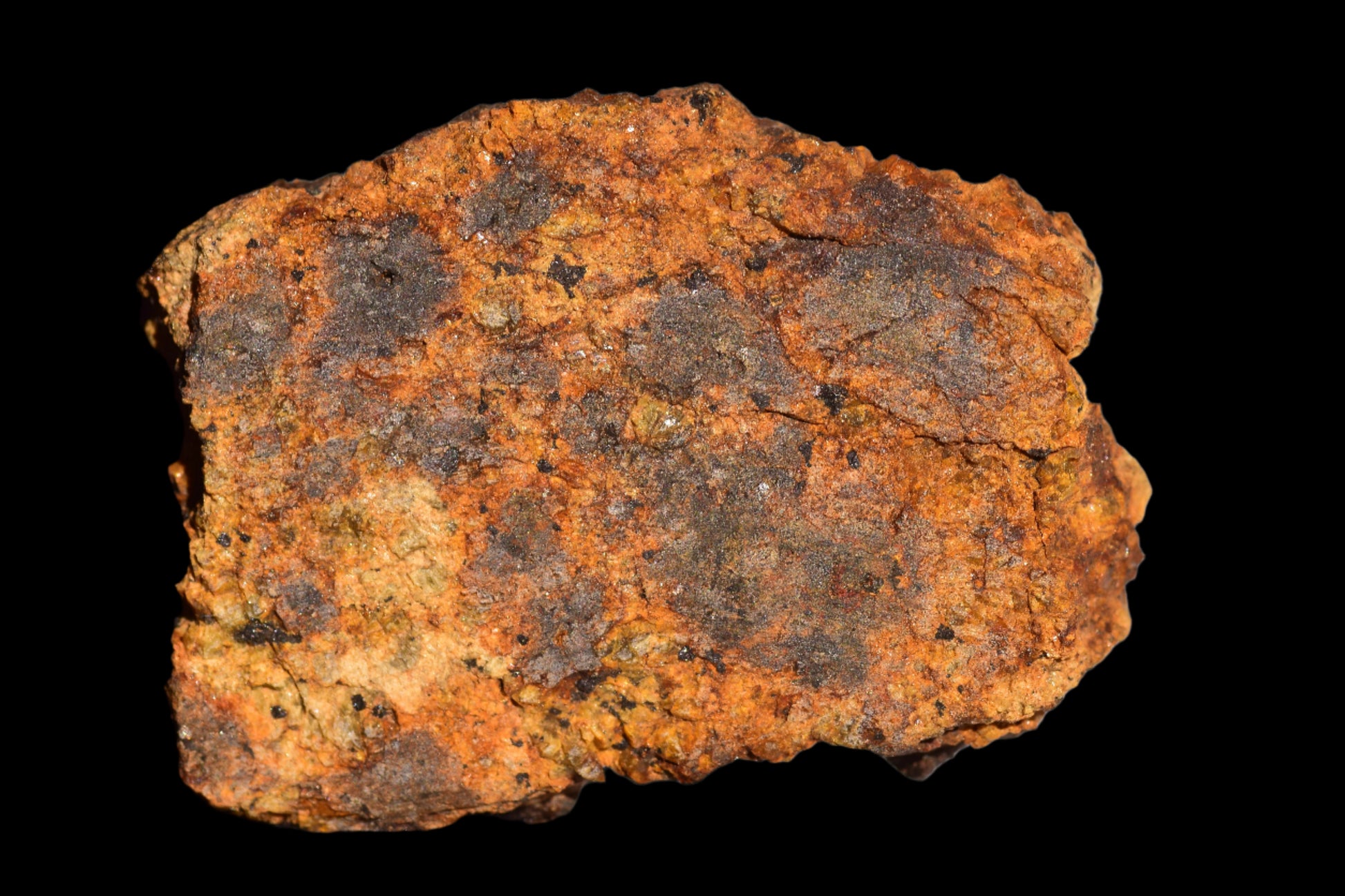Meteorite for Sale : Diogenite Meteorite NWA 13692