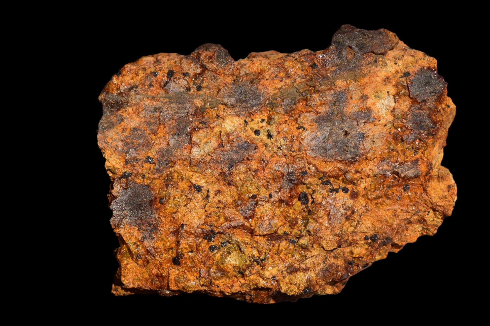 Meteorite for Sale : Diogenite Meteorite NWA 13692