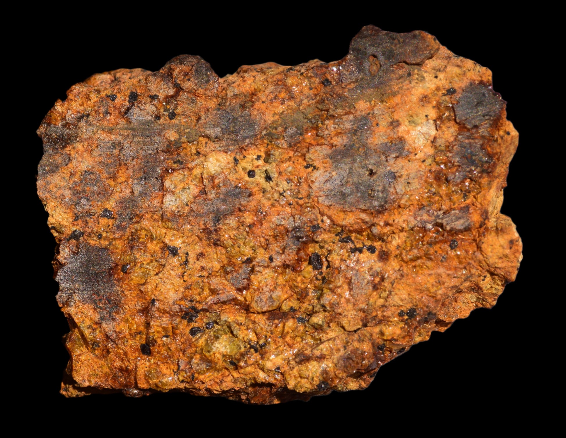 Meteorite for Sale : Diogenite Meteorite NWA 13692