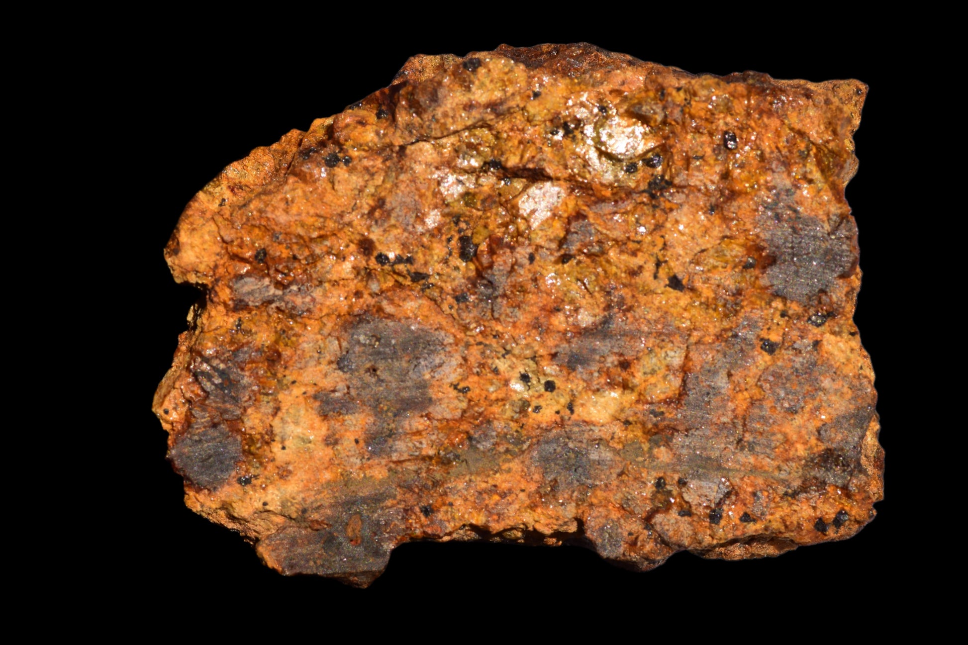 Meteorite for Sale : Diogenite Meteorite NWA 13692