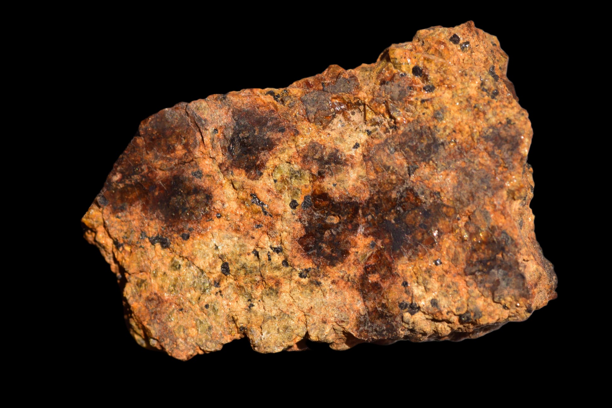 Meteorite for Sale: Diogenite NWA 13692