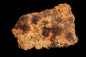 Meteorite for Sale: Diogenite NWA 13692