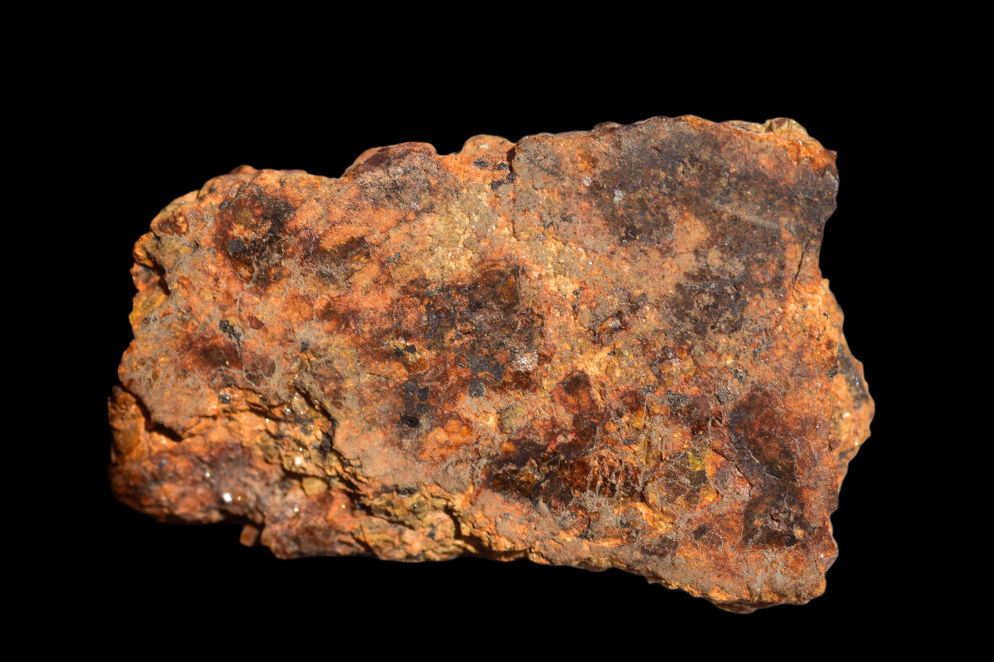 Meteorite for Sale: Diogenite NWA 13692
