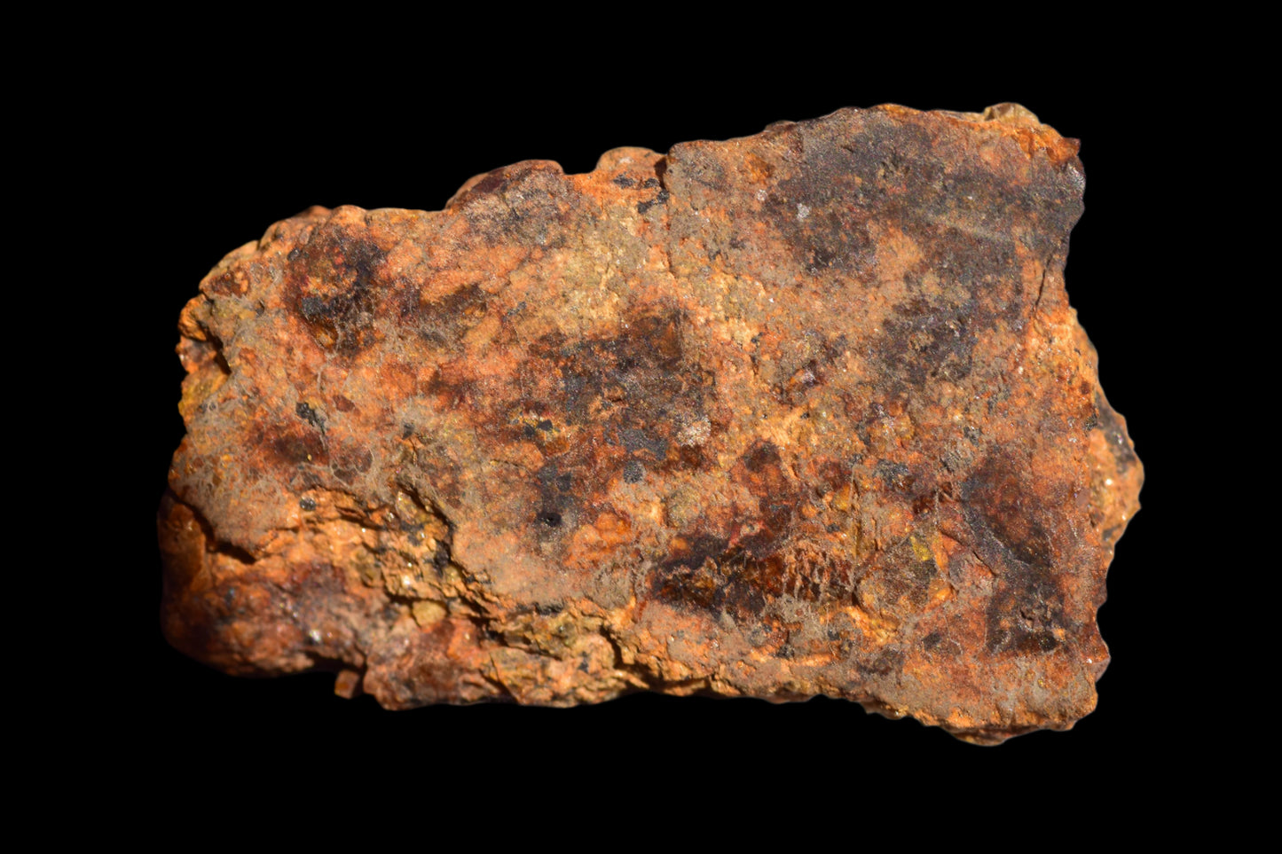 Meteorite for Sale: Diogenite NWA 13692