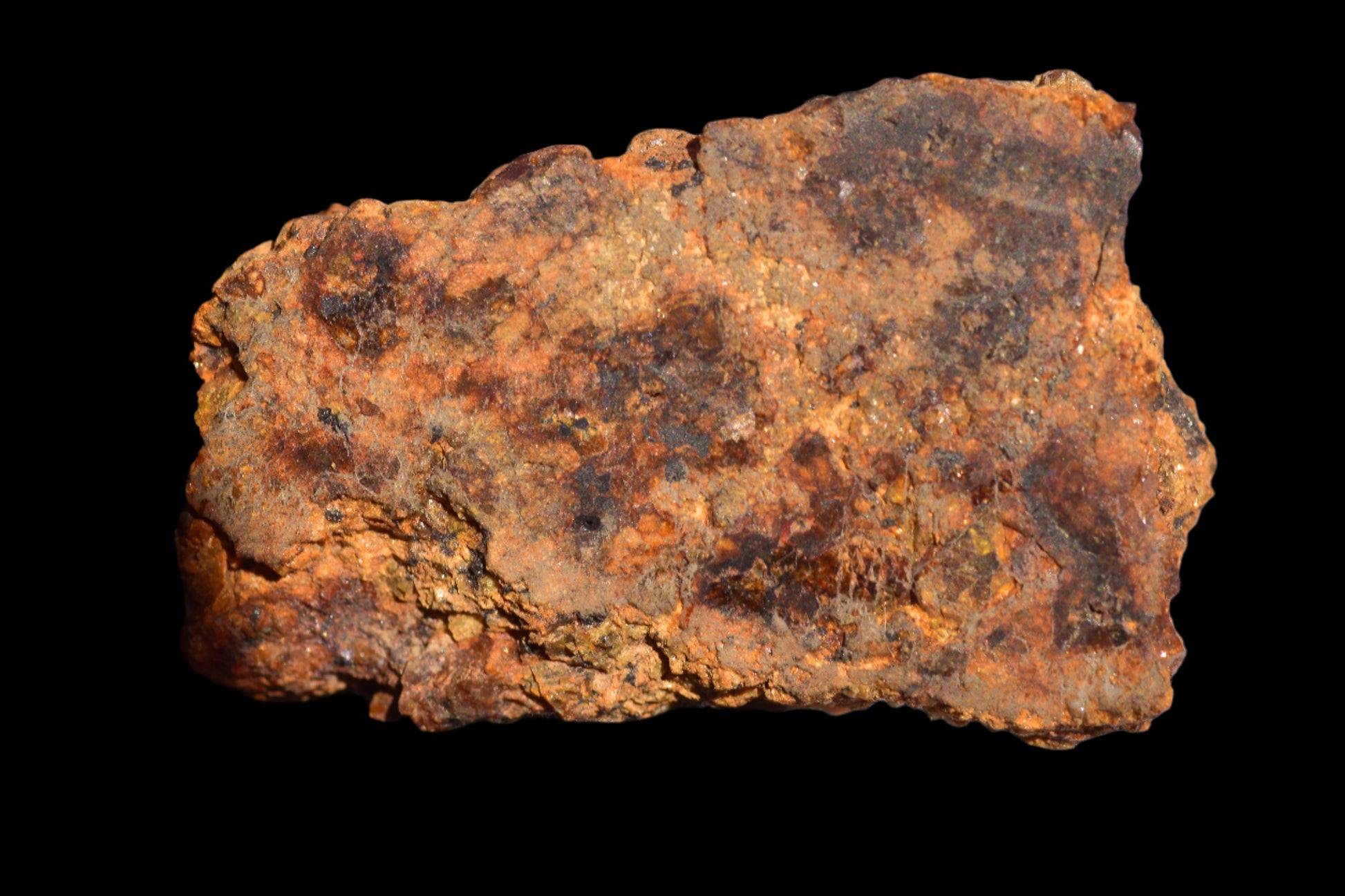 Meteorite for Sale: Diogenite NWA 13692