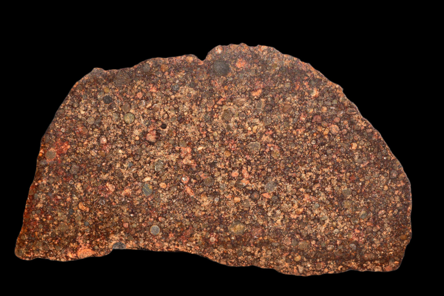METEORITE FOR SALE NWA 12341 L3 
