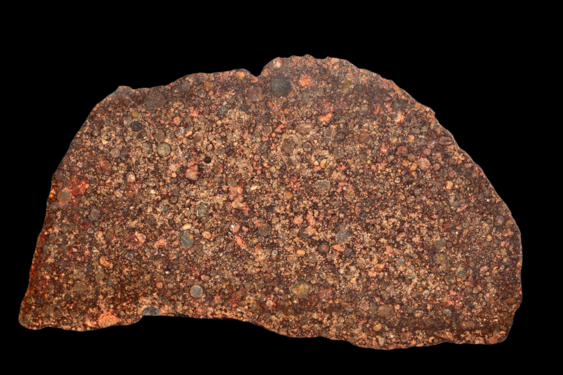 METEORITE FOR SALE NWA 12341 L3 