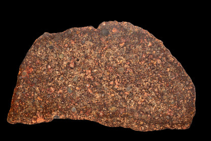METEORITE FOR SALE NWA 12341 L3 