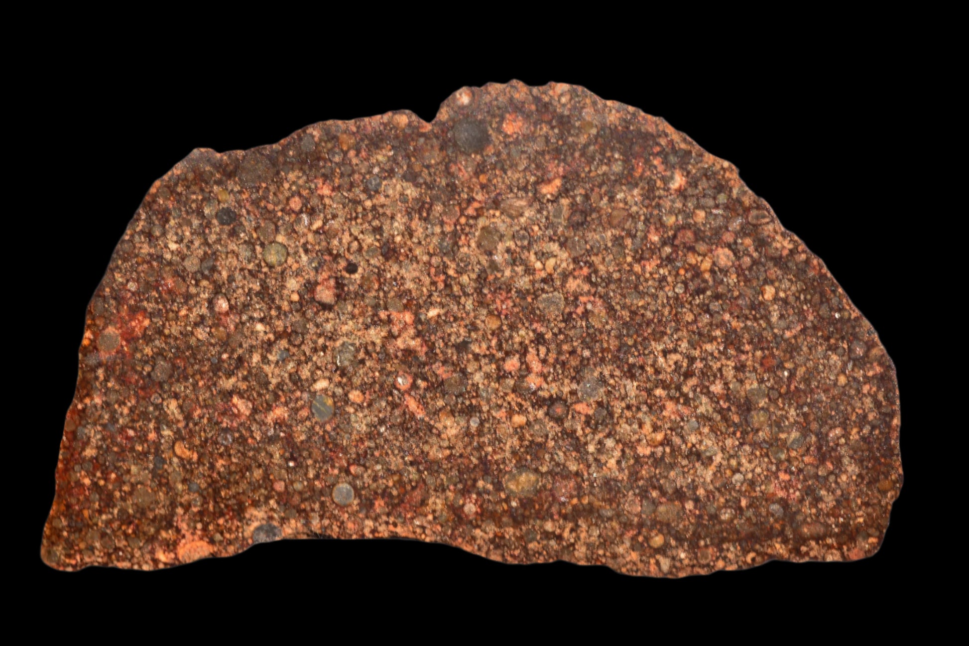 METEORITE FOR SALE NWA 12341 L3 