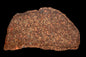METEORITE FOR SALE NWA 12341 L3 