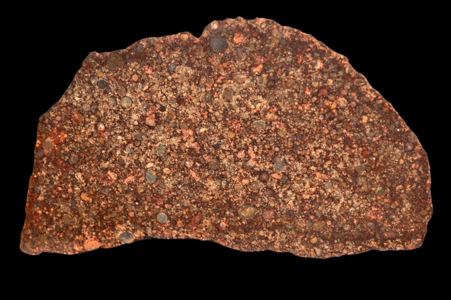 METEORITE FOR SALE NWA 12341 L3 