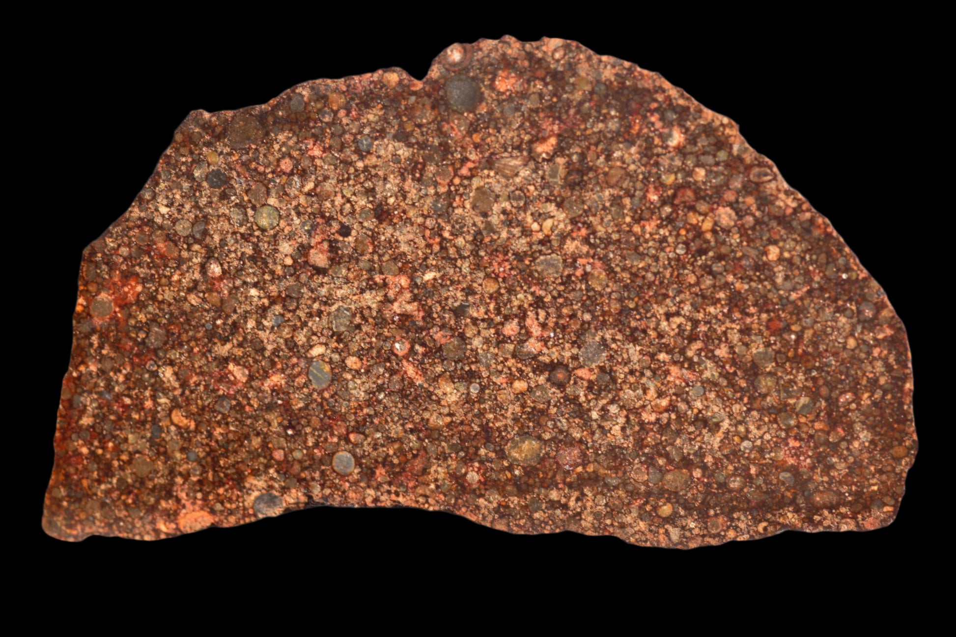 METEORITE FOR SALE NWA 12341 L3 