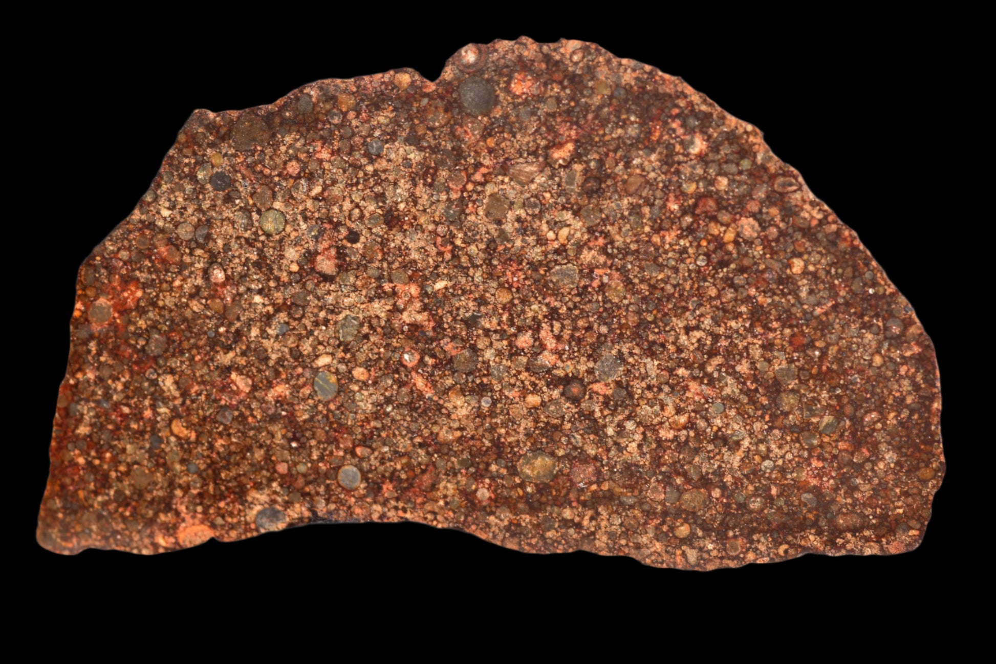 METEORITE FOR SALE NWA 12341 L3 