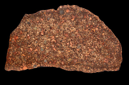 METEORITE FOR SALE NWA 12341 L3 