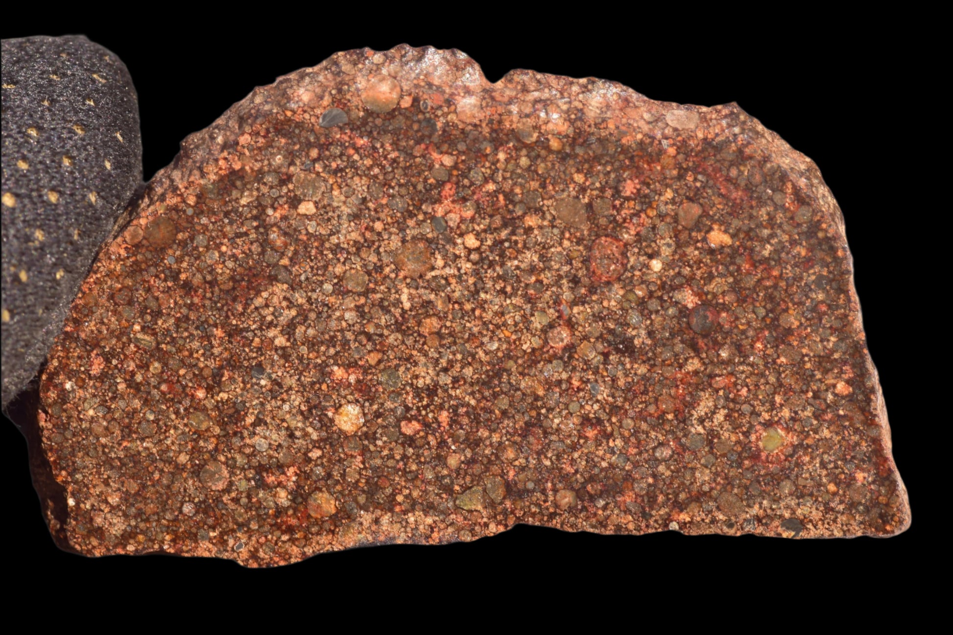 METEORITE FOR SALE NWA 12341 L3 