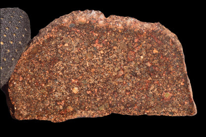 METEORITE FOR SALE NWA 12341 L3 