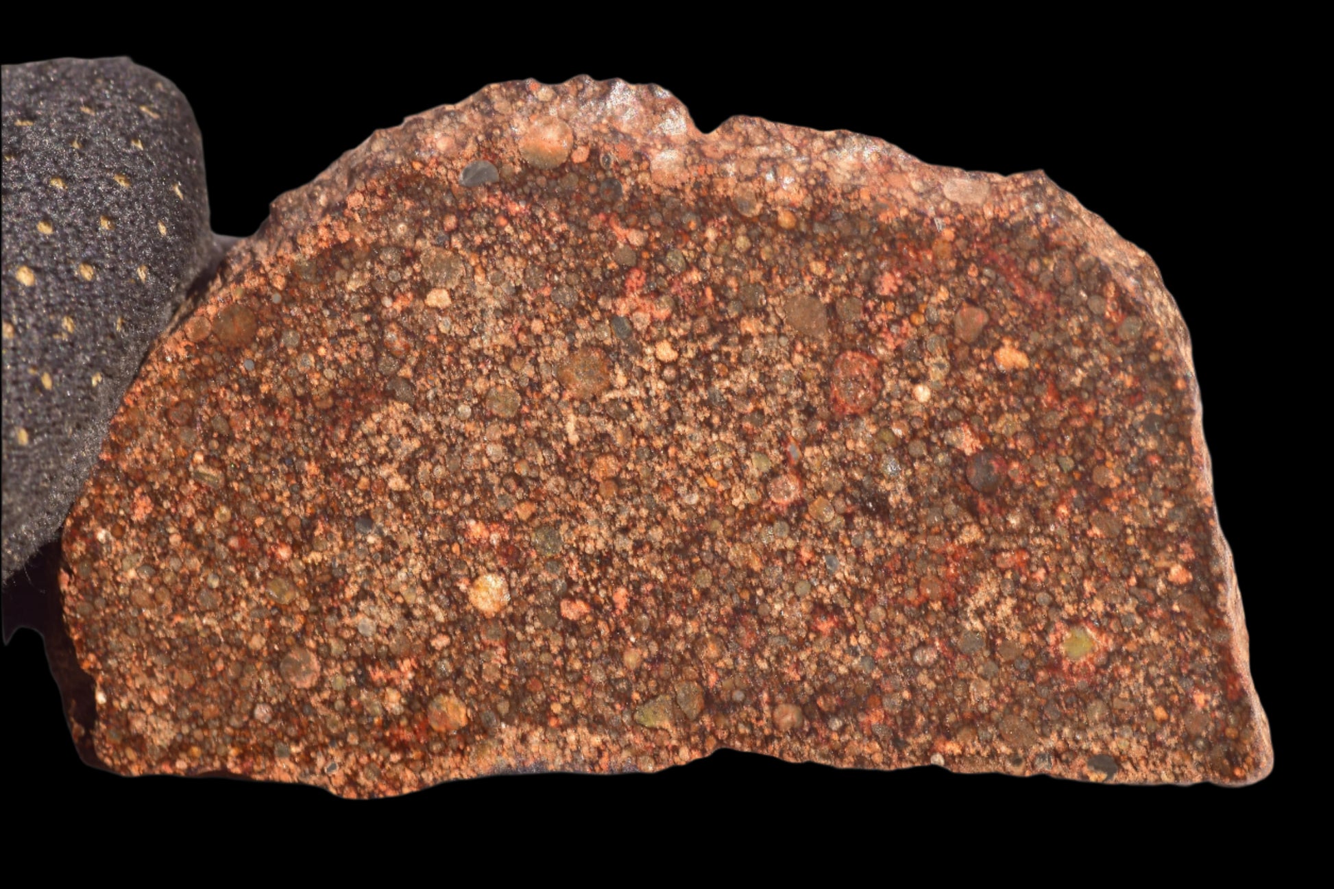METEORITE FOR SALE NWA 12341 L3 