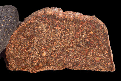 METEORITE FOR SALE NWA 12341 L3 