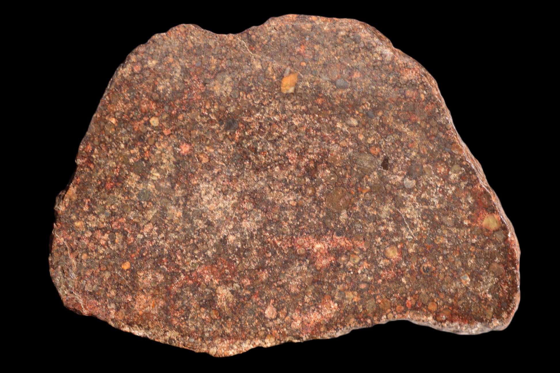 METEORITE FOR SALE L3 NWA 12341