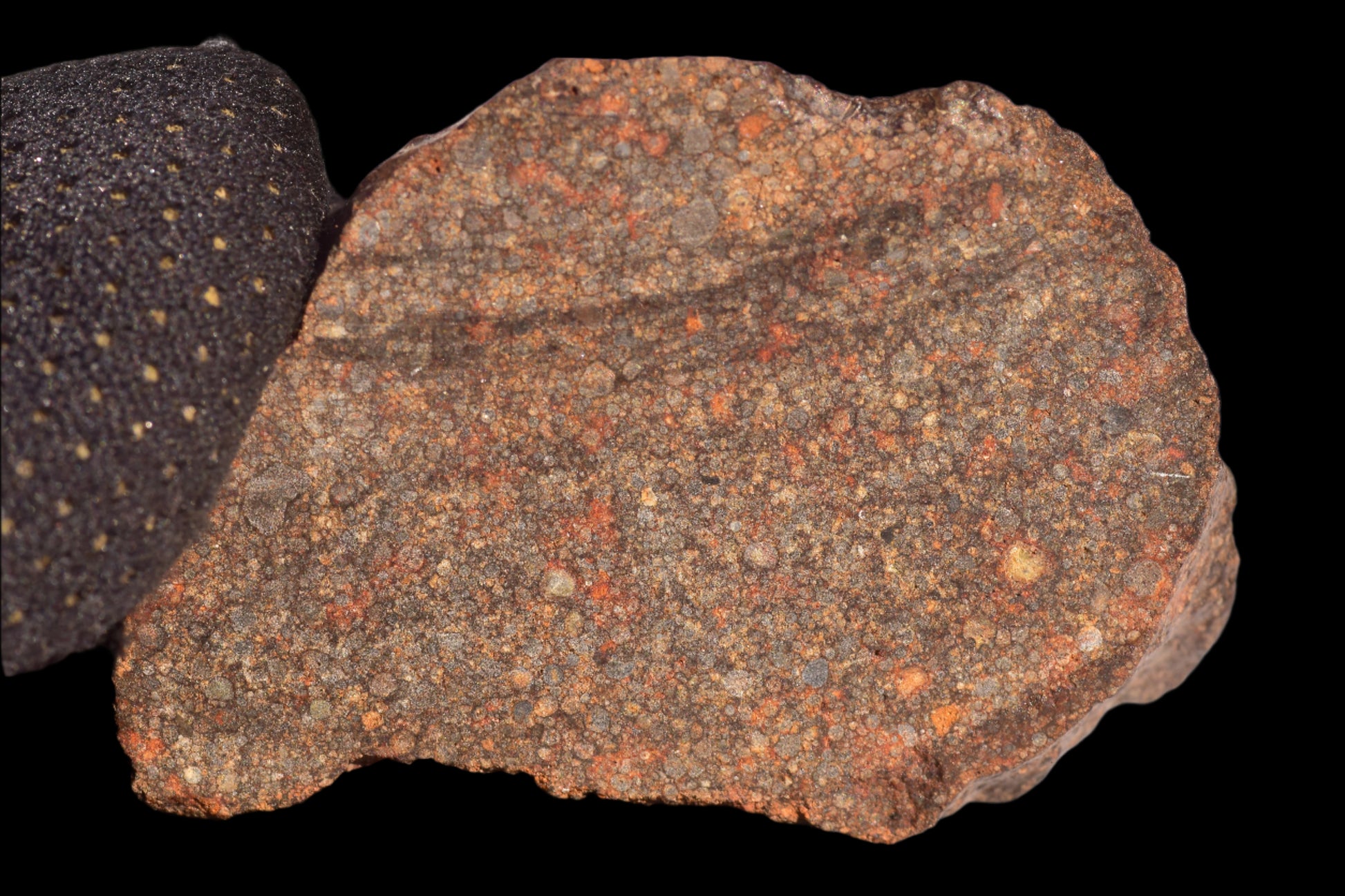 METEORITE FOR SALE L3 NWA 12341 