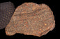 METEORITE FOR SALE L3 NWA 12341 