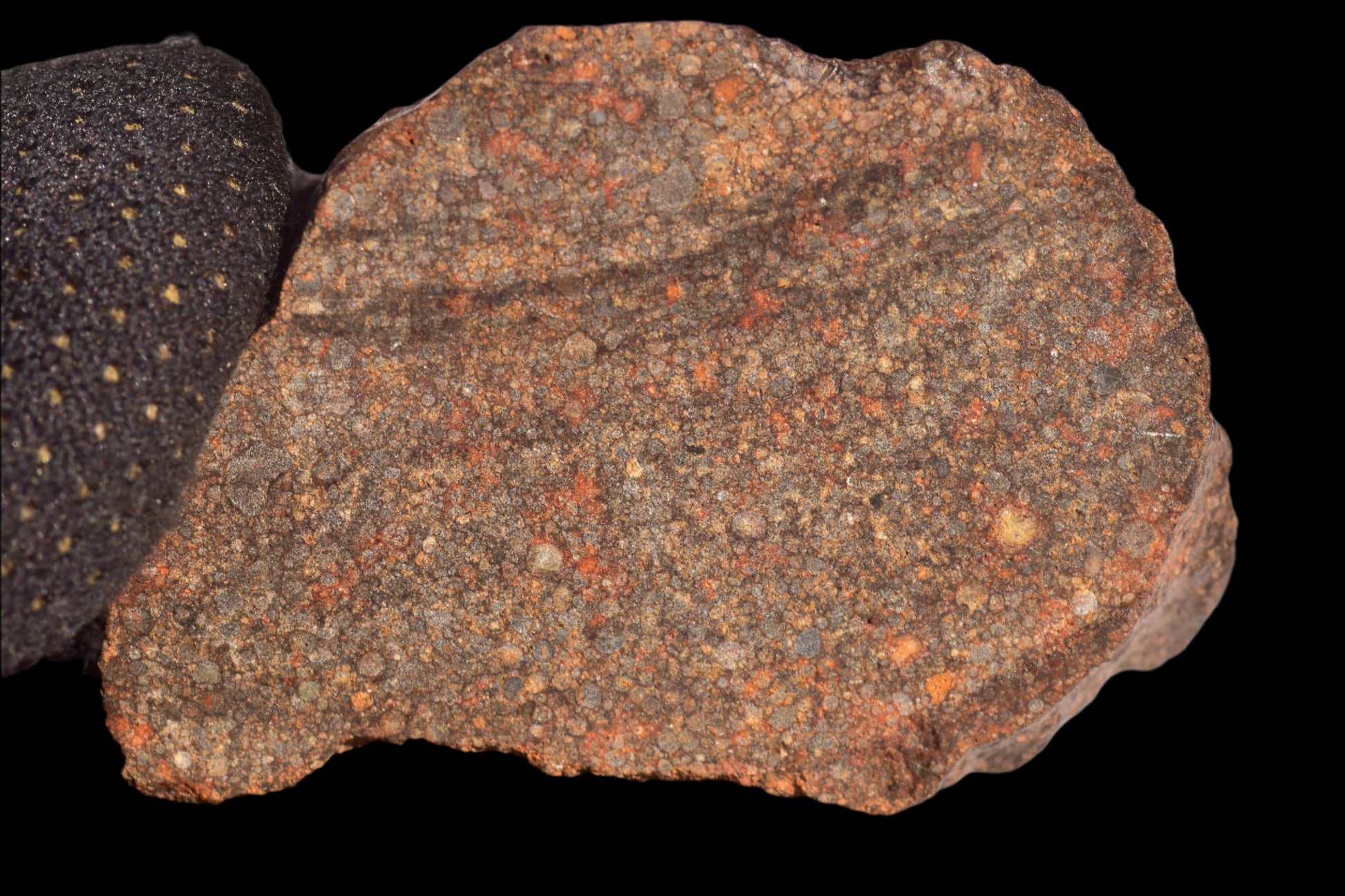 METEORITE FOR SALE L3 NWA 12341