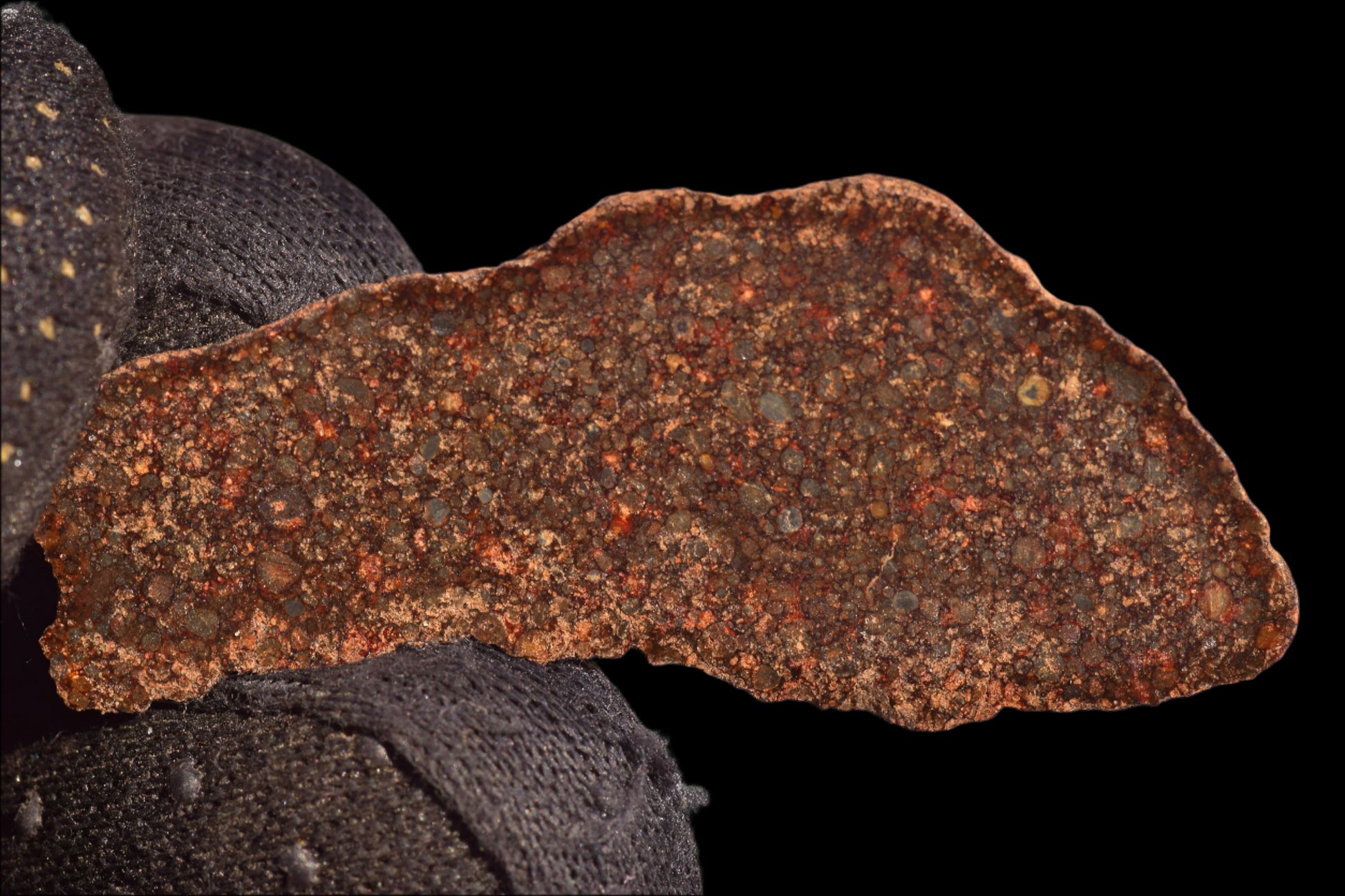 METEORITE FOR SALE L3 CHONDRITE NWA 12341