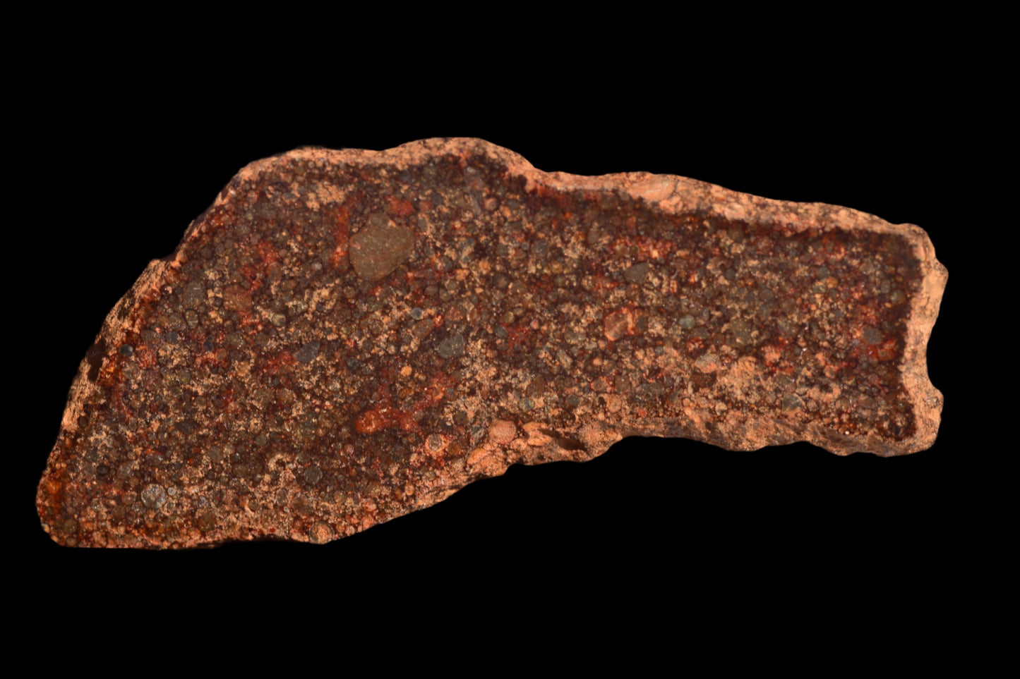 Meteorite L3 Chondrite NWA 12341 Slice 6.54 g