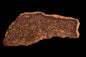 Meteorite L3 Chondrite NWA 12341 Slice 6.54 g
