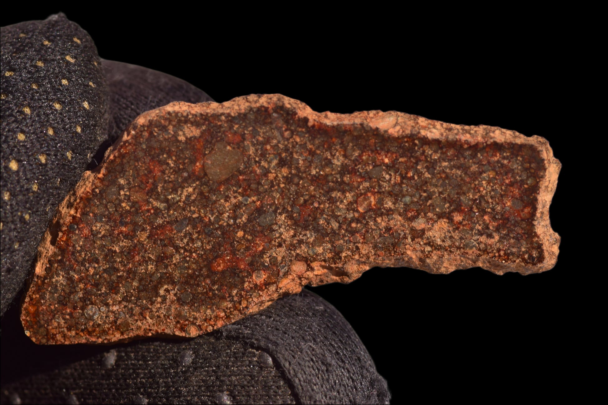 METEORITE FOR SALE L3 CHONDRITE NWA 12341
