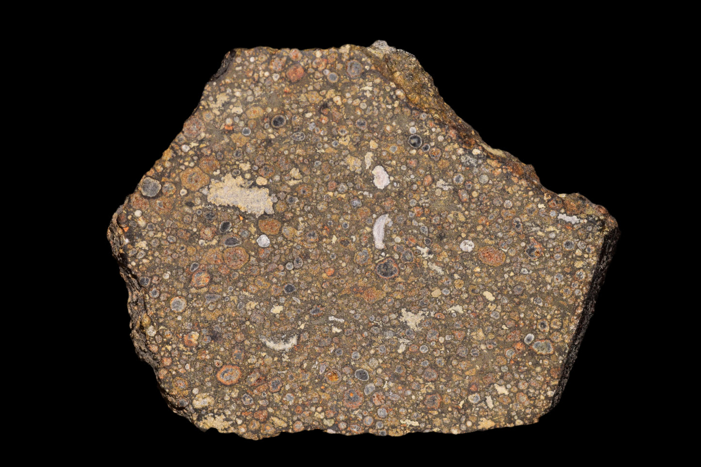 Meteorite CV3 Carbonaceous Chondrite NWA 14004 SLICE 51 G