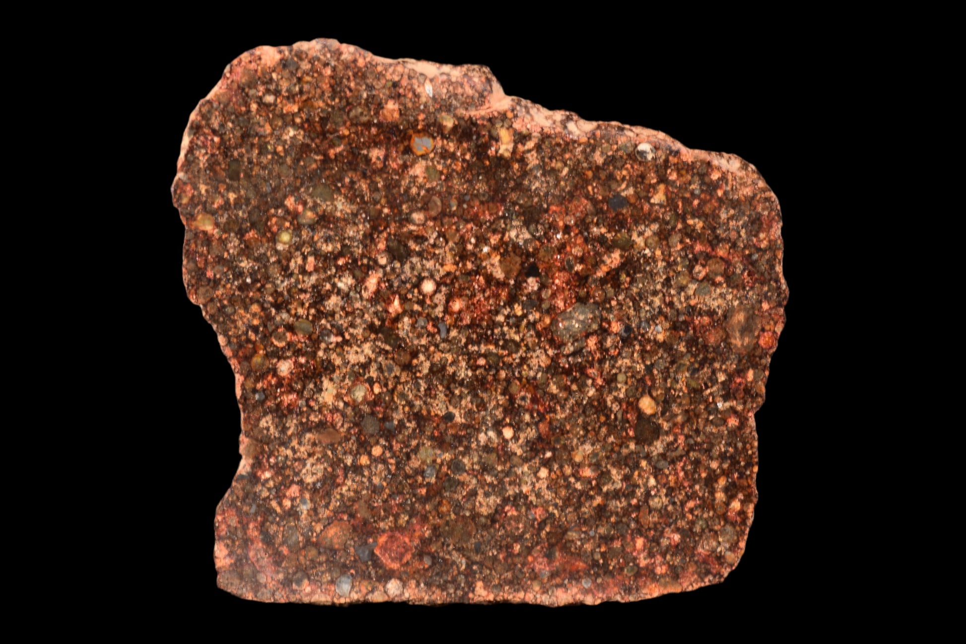 METEORITE FOR SALE L3 CHONDRITE NWA 12341 