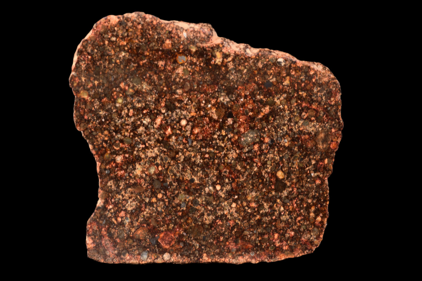 METEORITE FOR SALE L3 CHONDRITE NWA 12341 