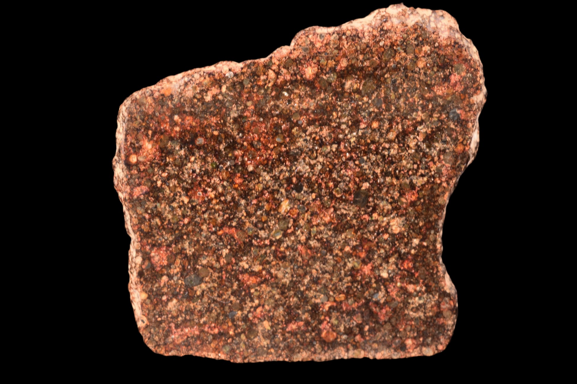 METEORITE FOR SALE L3 CHONDRITE NWA 12341 