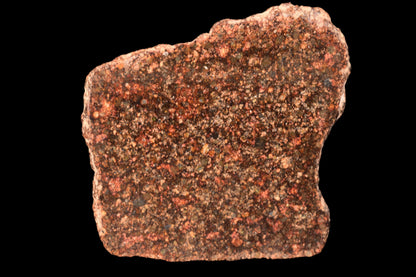 METEORITE FOR SALE L3 CHONDRITE NWA 12341 