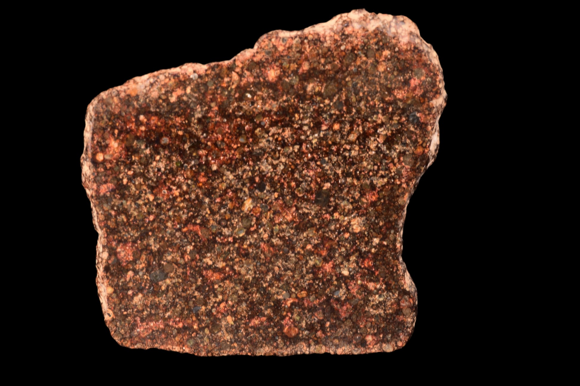 METEORITE FOR SALE L3 CHONDRITE NWA 12341 
