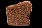 METEORITE FOR SALE L3 CHONDRITE NWA 12341 