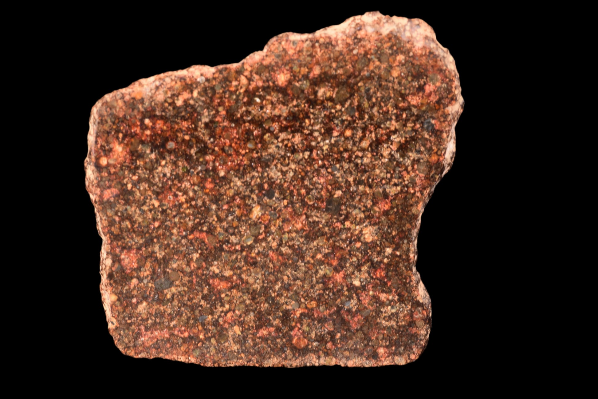 METEORITE FOR SALE L3 CHONDRITE NWA 12341 