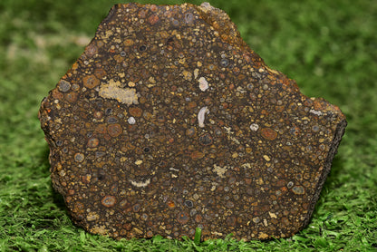 Meteorite Carbonaceous Chondrite CV3 NWA 14004 Slice 51 g - MeteoriteNwa.com