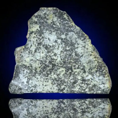 Meteorite Achondrite Martian Shergottite poikilitic NWA 13360 Slice 14.28g W COA  MeteoriteNwa.com