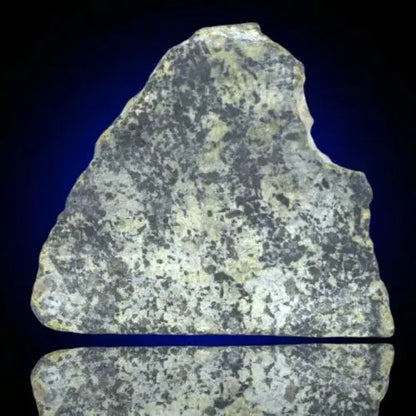 Meteorite Achondrite Martian Shergottite poikilitic NWA 13360 Slice 14.28g W COA  MeteoriteNwa.com