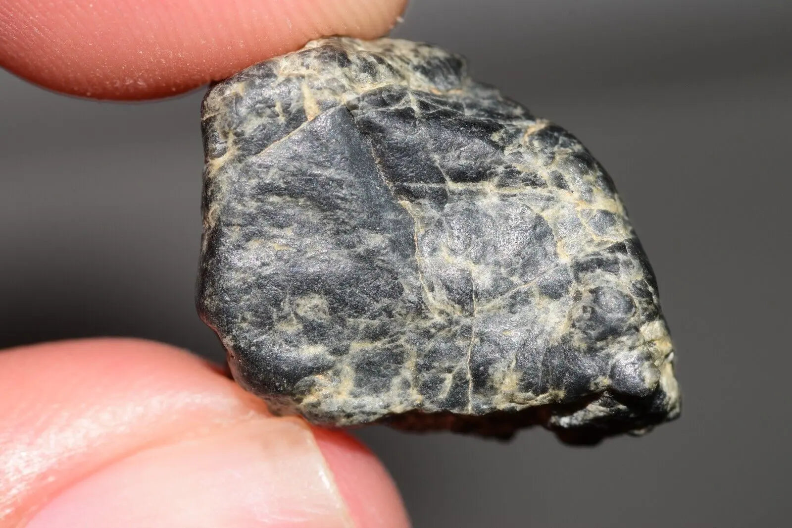 Meteorite Eucrite Melt Breccia HED Achondrite NWA 12342 Fragment 5.22g with COA  MeteoriteNwa.com